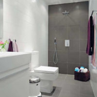 koupelna 4 m2 design