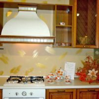 Un exemplu de ambarcațiune strălucitoare pentru o imagine de decor pentru bucătărie