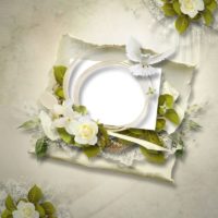 Vjenčani tanjur na svadbenom stolu