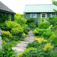 Peisagistică a unei parcele de grădină în stilul sălbăticiei