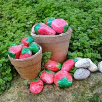 Barevné kameny pro zdobení zahrady