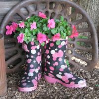 Staré boty jako nové květináče