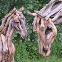 Sculpturi de cai din ramuri vechi