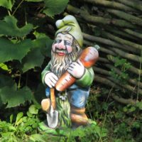 Gnome de casă cu morcov în designul grădinii
