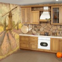 Imagini de fundal în bucătăria în stil rustic Dizan