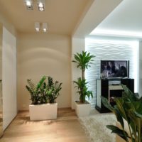 Levende planten in het ontwerp van een studio-appartement