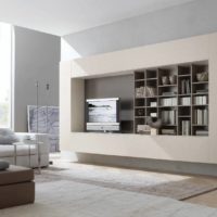 Knihovny a televize na zdi v obývacím pokoji