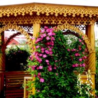 Dekorace letního domu s kvetoucími loaches