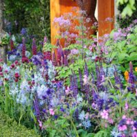 Flori de amestec în design de grădină