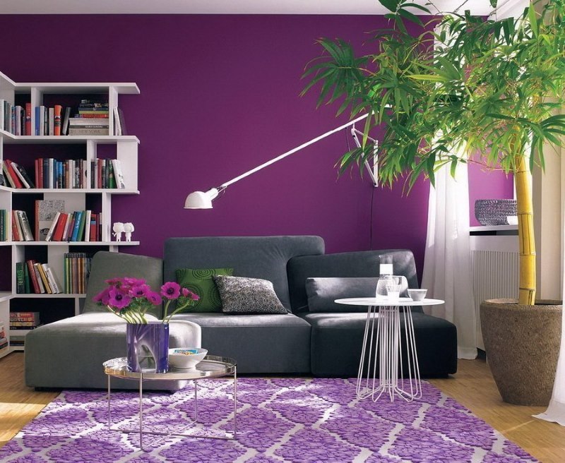 Warna lavender yang berlainan di ruang tamu