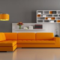 Oranžinė sofa ir baltos knygų lentynos
