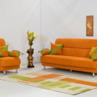 Minkšti baldai su oranžinio audinio apmušalais