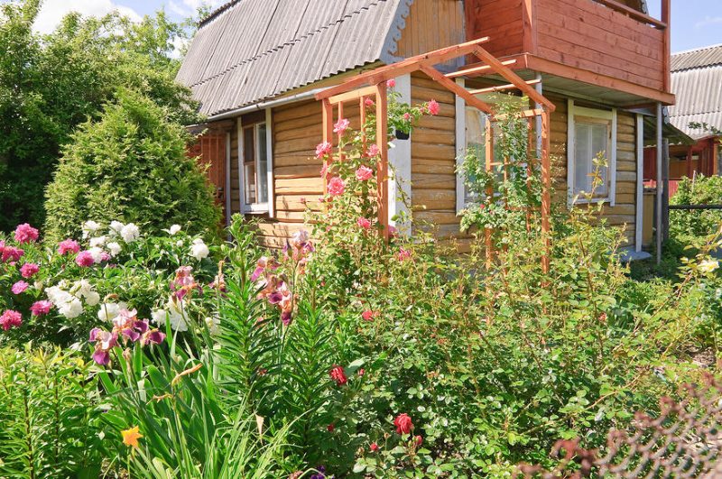 Proiect de grădină rustică