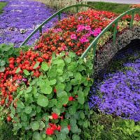 Susunan bunga dalam bentuk jembatan di atas aliran