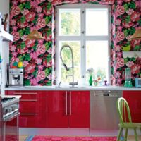Spalvoti gėlių tapetai ant virtuvės sienos