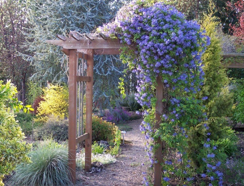 Arc de grădină din lemn în peisajul unei căsuțe de vară