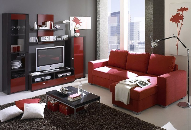 Raudoni baldai šiuolaikiško stiliaus kambario interjere