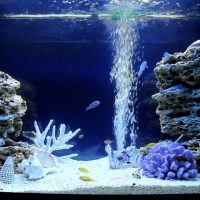 Vzduchové bubliny z akváriového filtru