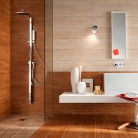 Sprchovací kabina v dřevěném domě