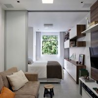Pagarināta studijas tipa dzīvokļa dizains