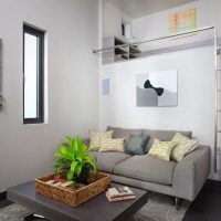 Canapea gri într-o cameră cu o fereastră îngustă
