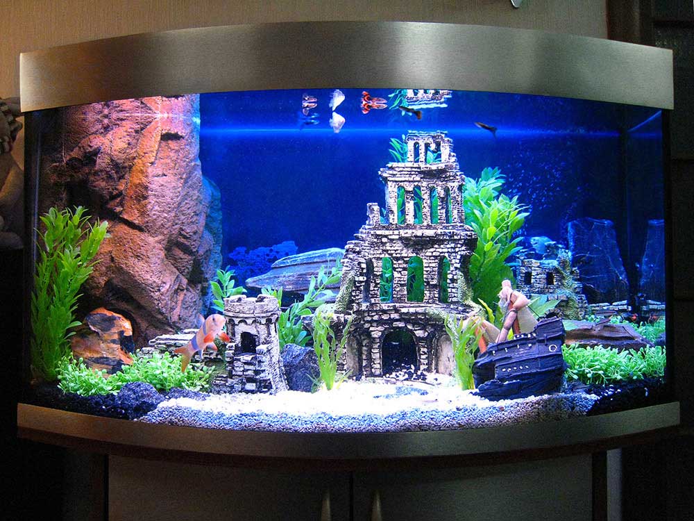 Panoramski akvarij s konveksnim staklom
