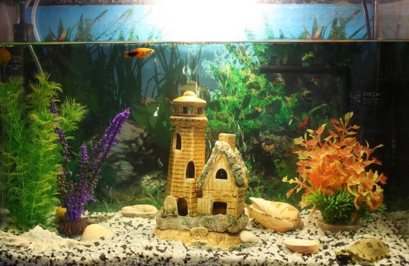 Pohádkový hrad uvnitř akvária