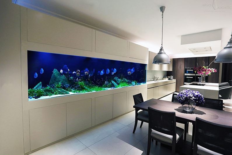 Un acvariu lung în interiorul bucătăriei-sufragerie