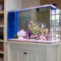 Domácí akvárium na dřevěný podstavec