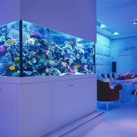 Proiectați o cameră de zi cu un acvariu mare