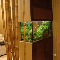 Bambus v designu moderního interiéru