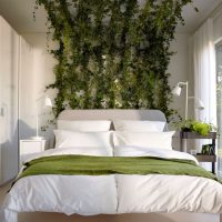 Horolezecké rostliny v designu ložnice