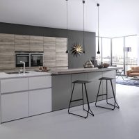 Minimalistisch keuken-woonkamer ontwerp