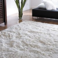 Lehký koberec s dlouhou hromádkou