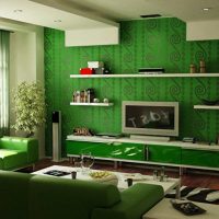 اللون الأخضر في المناطق الداخلية من غرفة المعيشة