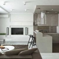 Pelēks un balts minimālisma virtuves-viesistabas interjers