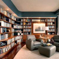 Domácí knihovna s panoramatickým zasklením
