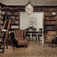 Retro stila mājas bibliotēka