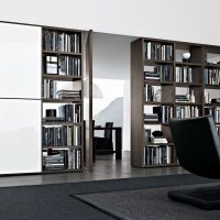 Boekenkasten in moderne stijl
