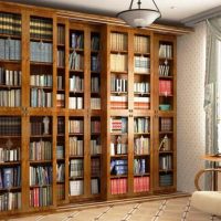 Boekenkasten met deuren langs de muur van de woonkamer
