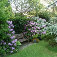 Loc confortabil pentru relaxare în grădină cu o bancă de lemn