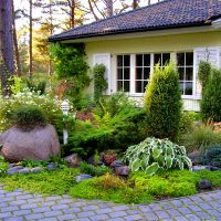 Compoziție frumoasă cu plante de arbust în fața unei case de țară