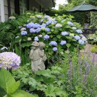 Zahradní socha na pozadí hortenzie s Lila květy