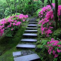 Zahradní schodiště z přírodního kamene