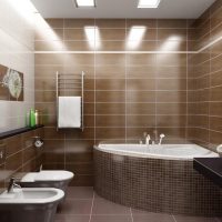 Hoekbad van acryl in de gecombineerde badkamer