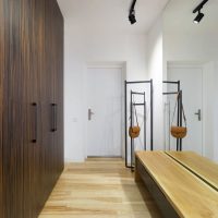 Design îngust al holului de intrare într-un apartament modern
