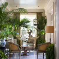 Tropische planten in een modern interieur