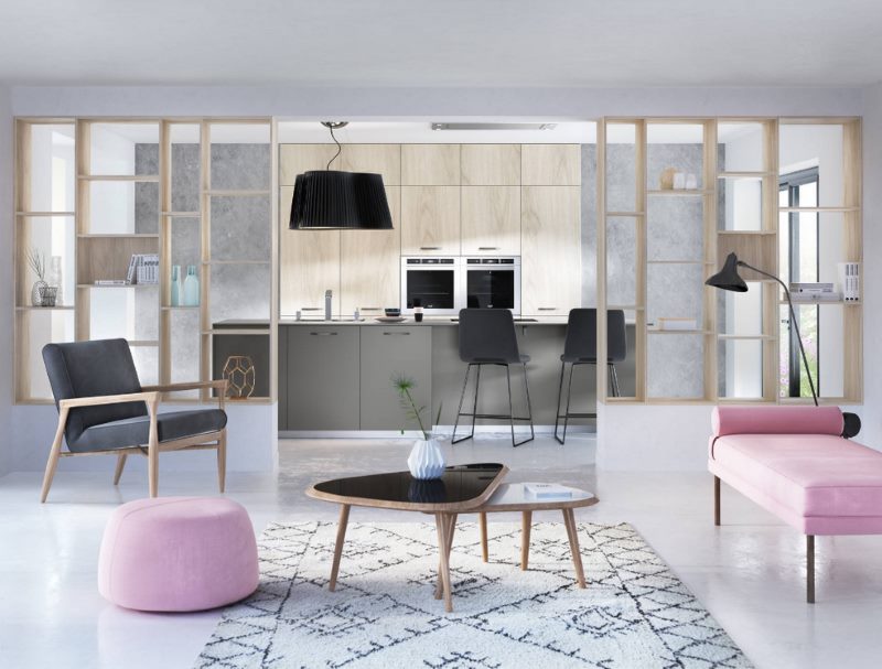 Virtuves-dzīvojamās istabas dizains ar dekoratīvu starpsienu