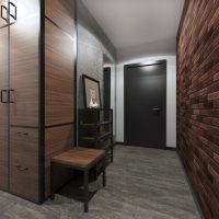 Proiectarea unei holuri de intrare într-un apartament cu două camere