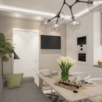 Pilkos spalvos virtuvės-svetainės dizainas
